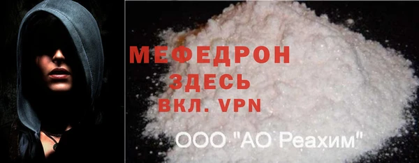 дживик Няндома