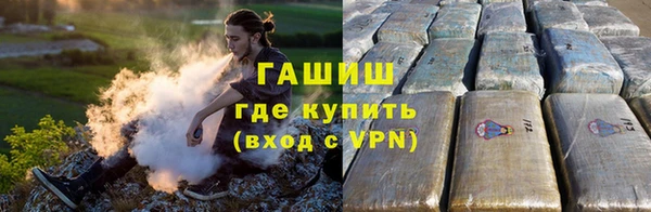 дживик Няндома