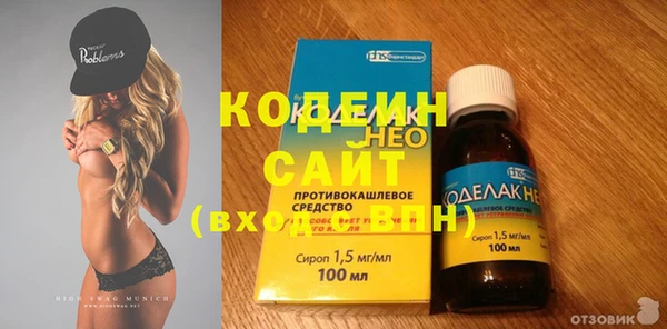 дживик Няндома