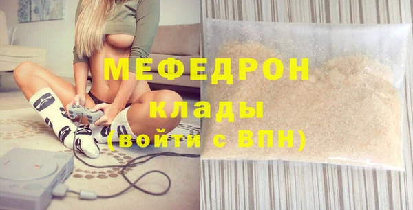 дживик Няндома