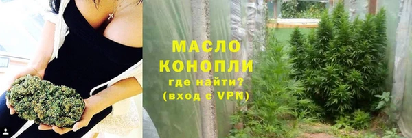 СК Новодвинск