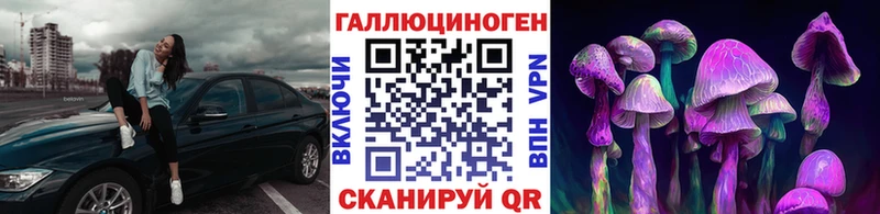 Галлюциногенные грибы мицелий  mega зеркало  Андреаполь 