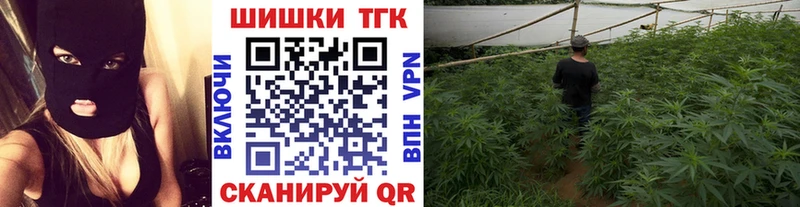 Каннабис индика Андреаполь